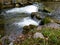 wild brook with waterfall and green shore