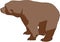 Wild brown bear