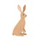 Wild brown hare. Forest animal with long ears. European woods jackrabbit. Cute jack rabbit, mammal character. Childish