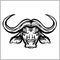 Wild buffalo bull head for mascot or tattoo design.