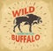 Wild Buffalo vector vintage emblem design, label with wording for apparel.