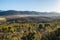 Wild Bush and Mountain Landscape, Western Cape, South Africa