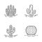 Wild cacti in ground linear icons set