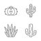 Wild cactus linear icons set