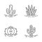 Wild cactuses in ground linear icons set