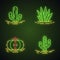 Wild cactuses in ground neon light icons set