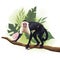 Wild Capuchin monkey in tree branch scene