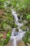 Wild Cascading Waterfall in the Blue Ridge Mountain