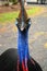 Wild Cassowary, Queensland,Australia