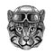 Wild cat Fishing cat wearing leather helmet Aviator, biker, motorcycle Hand drawn illustration for tattoo, emblem, badge