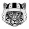 Wild cat Fishing cat Wild animal wearing rugby helmet Sport illustration