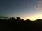 Wild Cat on Lava Rocks during Sunset at Magic Island in Winter in Honolulu on Oahu Island, Hawaii.