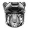 Wild cat Leopard Cat-o`-mountain Panther Hockey image Wild animal wearing hockey helmet Sport animal Winter sport Hockey