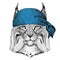 Wild cat Lynx Bobcat Trot Wild animal wearing bandana or kerchief or bandanna Image for Pirate Seaman Sailor Biker