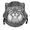 Wild cat Manul wearing vintage motorcycle helmet Tattoo, badge, emblem, logo, patch, t-shirt