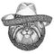 Wild cat Manul Wild animal wearing sombrero Mexico Fiesta Mexican party illustration Wild west