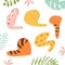 Wild cat paw set. Wild animals cartoon colored cat paws. Collection of various cute cartoon wild animal foot illustation