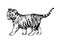 Wild cats illustration kitten tiger cub