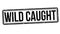 Wild caught sign or stamp