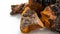 .wild chaga collected on birch trees. Useful mushroom supplements for a healthy life. Betulin - the active ingredient of Inonotus