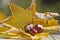 Wild chestnuts with autumn leaves in autumn motives. Horse chestnuts in autumn foliage scene. Golden autumn in still life. Season