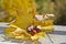 Wild chestnuts with autumn leaves in autumn motives. Horse chestnuts in autumn foliage scene. Golden autumn in still life. Season