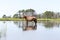 Wild Chincoteague Pony walking in the water.