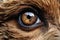 Wild Closeup bear eyes animal. Generate Ai