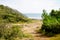 Wild coast access to sea beach in atlantic ocean in France