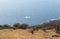 Wild coast of El Hierro, Canary Islands.