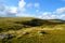 Wild Dartmoor, Dartmoor National Park Devon