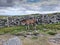 Wild Dartmoor Ponies on Dartmoor National Park Devon