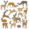 Wild deer herd vector set males and females with babies jump, sleep and in other poses. Outline sketch illustration