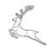 Wild deer male buck with branched horns jumped view profile vector outline black white sketch illustration.