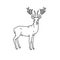 Wild deer male buck with branched horns vector outline black white sketch illustration.