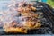 Wild Delicious barbecue chicken wings