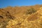 Wild desert-like landscape in the Richtersveld