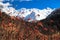 Wild dog rose on snowy Kardyvach mountain peak under blue sky background. Scenic sunnyc autumn landscape. Sochi, Russia, Caucasus