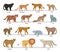 Wild and dometic cats set. Collection of cat family