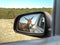 Wild donkey reflected in car mirror. Animal standing on the road. North Cyprus trip.