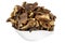 Wild and dried mushrooms placed in a dish