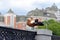 Wild duck Ruddy shelduck Tadorna ferruginea on the parapet