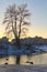 Wild ducks are swimming in a small part of the unfrozen water of Dnieper River. Bare tree on the hill