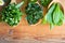 Wild edible spring herbs on three wooden spoons