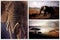 Wild elephant in the African savannah in the evening. African collage
