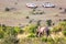 Wild elephant against safari cars in Masai Mara National Park, Kenya. Safari concept. African travel landscape