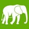 Wild elephant icon green