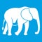 Wild elephant icon white