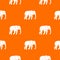 Wild elephant pattern seamless