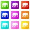 Wild elephant set 9